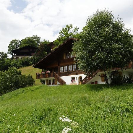 Chalet Unter Dem Stein Γκρίντελβαλντ Εξωτερικό φωτογραφία