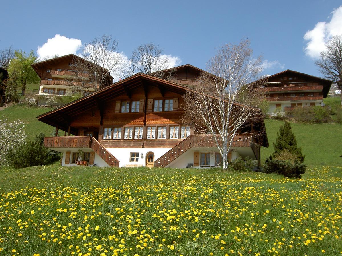 Chalet Unter Dem Stein Γκρίντελβαλντ Εξωτερικό φωτογραφία