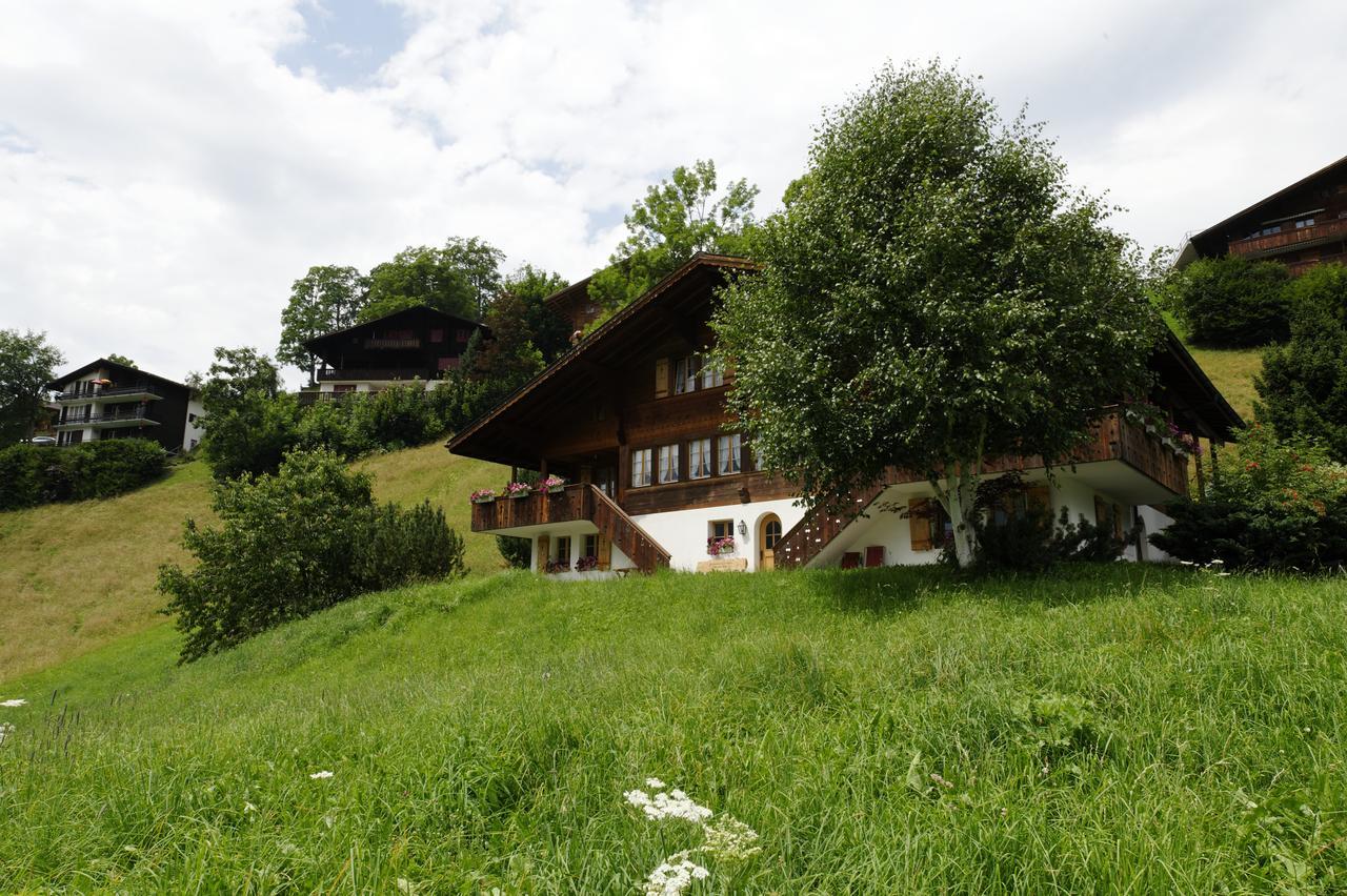 Chalet Unter Dem Stein Γκρίντελβαλντ Εξωτερικό φωτογραφία